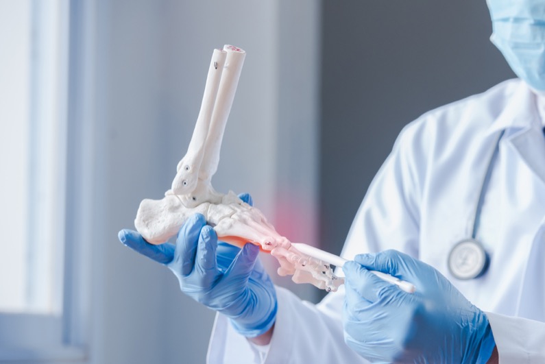 An orthopedic doctor looking at a fake ankle bone Male doctors orthopedic