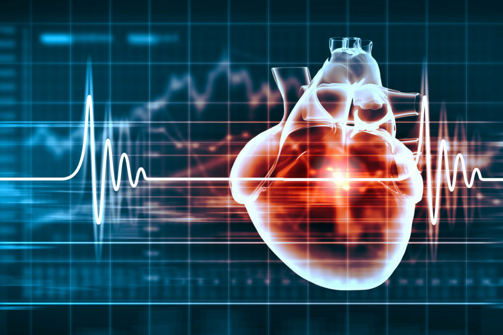 red heart with ecg line