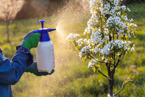 Farmer With Protective Gloves Spraying