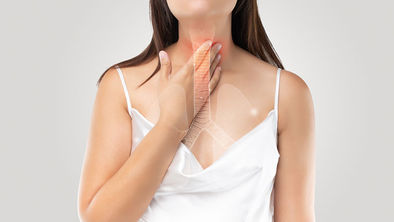 Illustration of bronchial or windpipe on a woman's body.