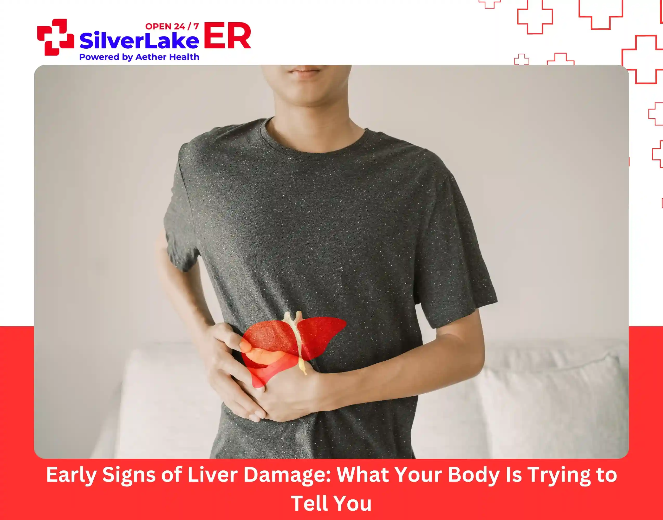 Early Signs of Liver Damage What Your Body Is Trying to Tell You