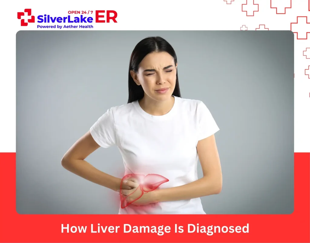 How Liver Damage Is Diagnosed