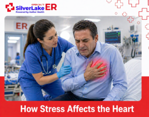 How Stress Affects the Heart