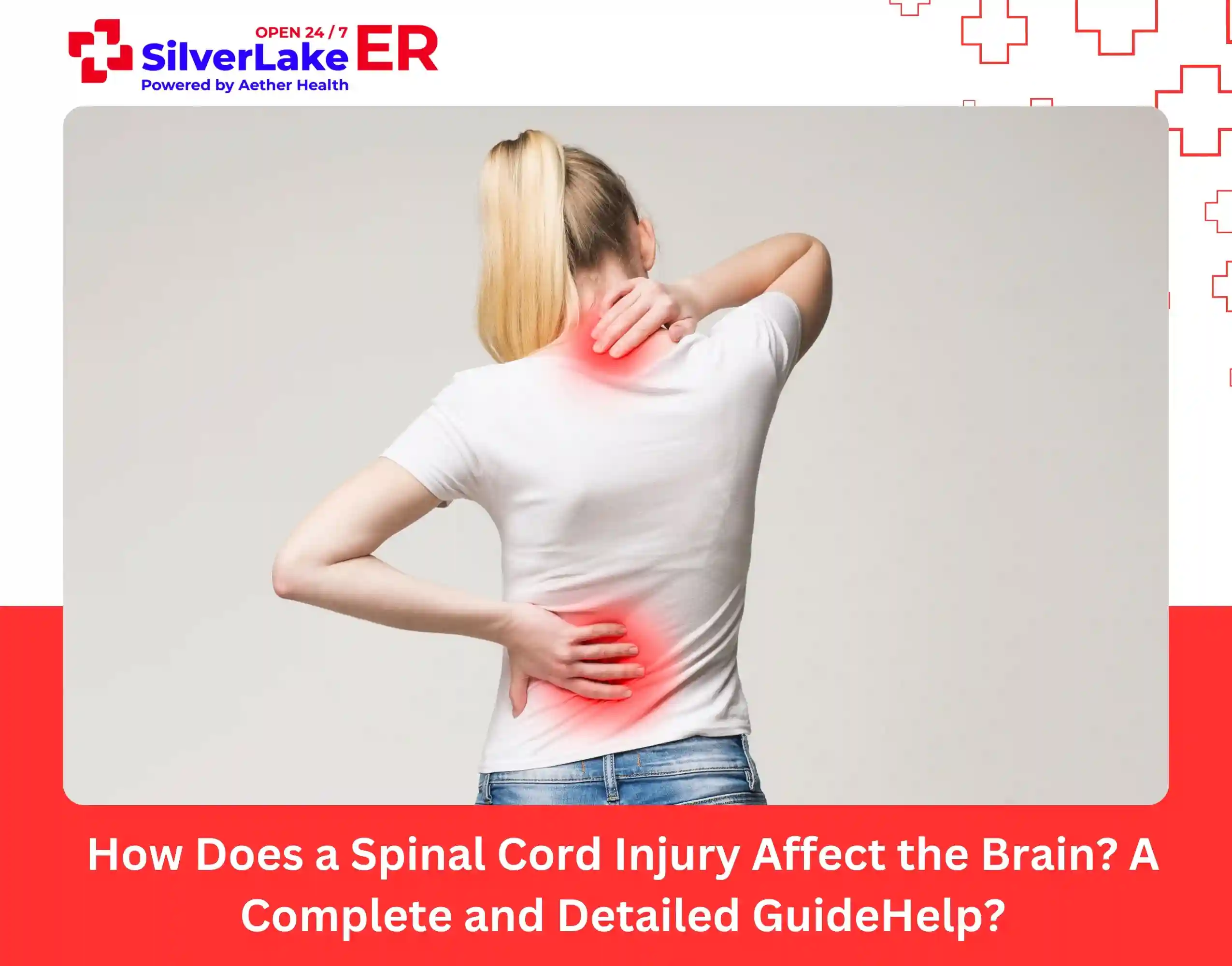 How Does a Spinal Cord Injury Affect the Brain