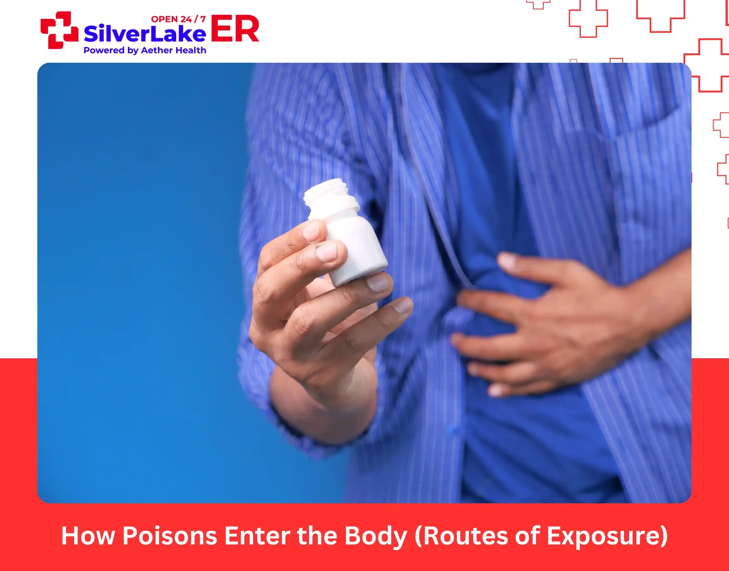 How Poisons Enter the Body (Routes of Exposure)