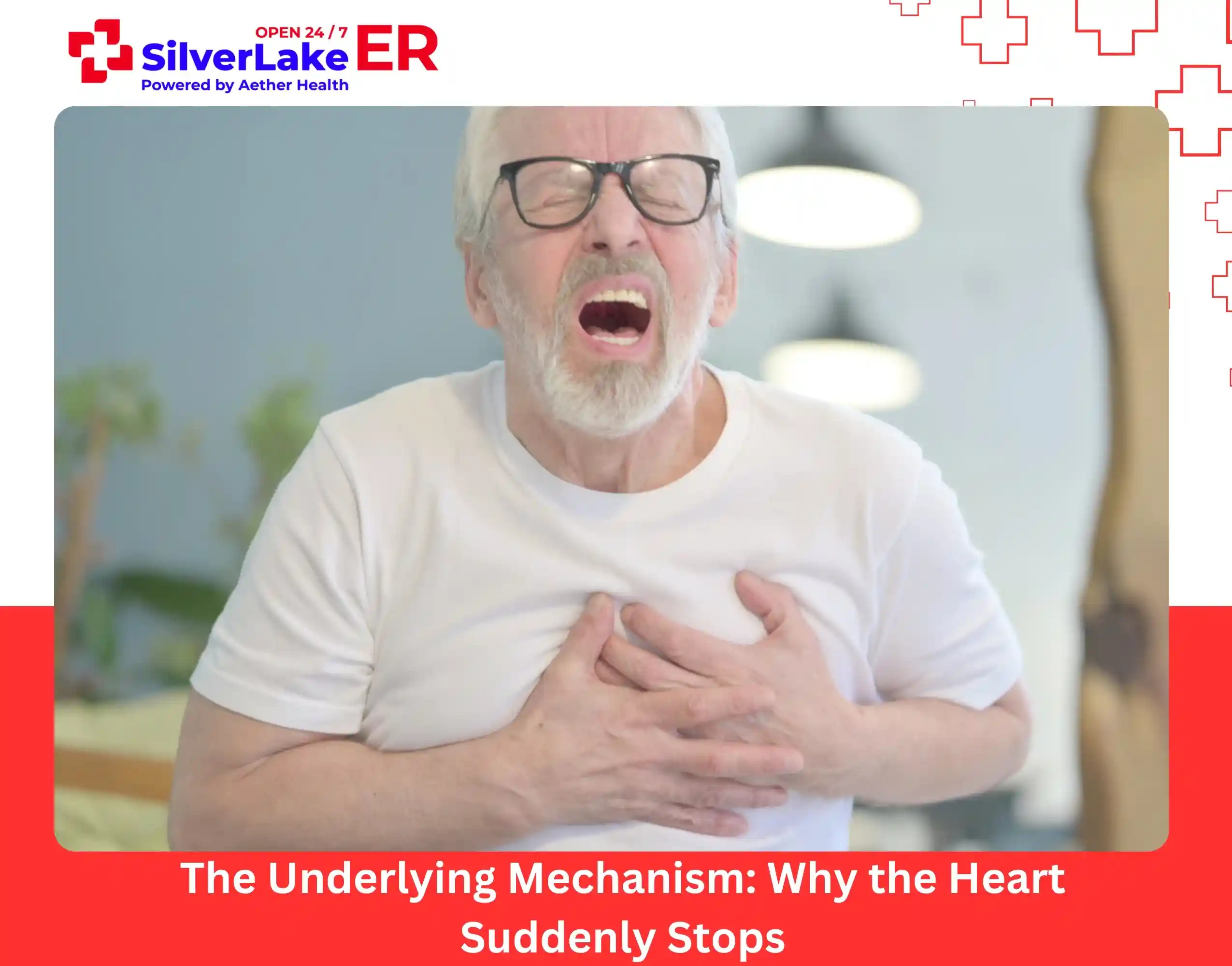 The Underlying Mechanism Why the Heart Suddenly Stops
