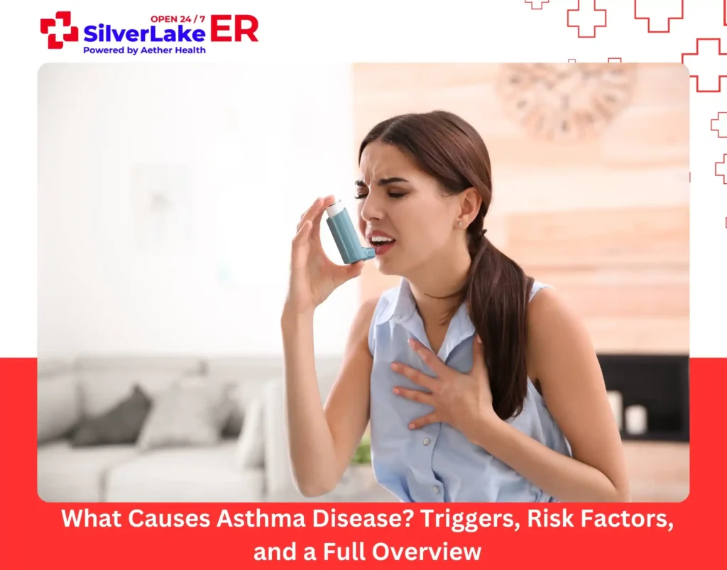 What Causes Asthma Disease Triggers, Risk Factors, and a Full Overview