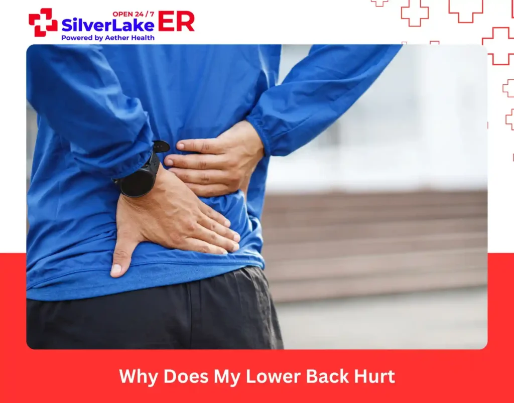 Why Does My Lower Back Hurt